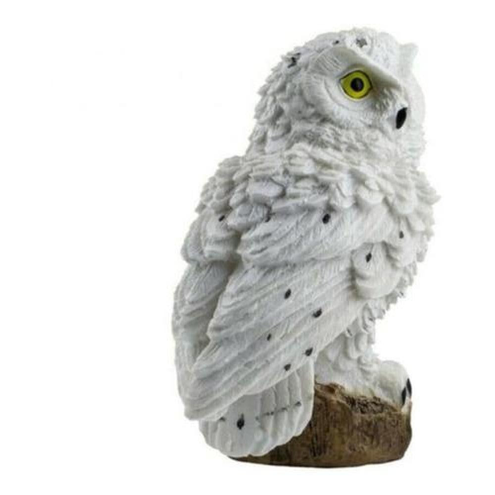 Luz solar buho Hedwig Harry