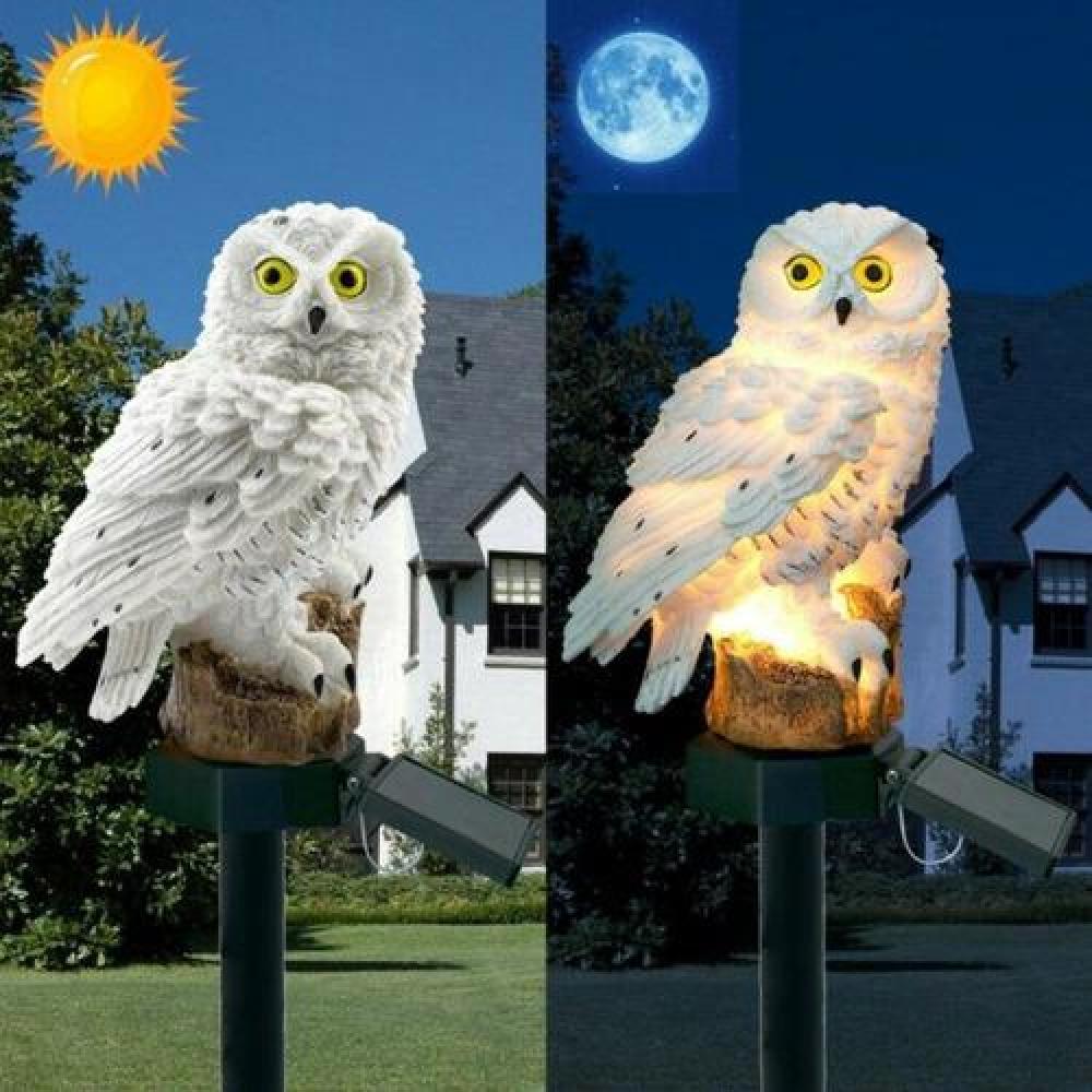 Luz solar buho Hedwig Harry