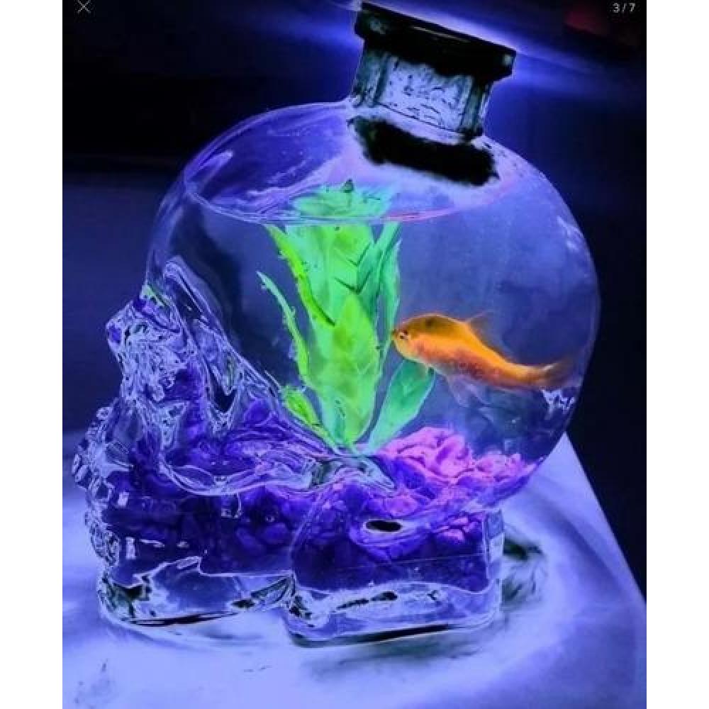 Botella Calavera Vidrio Craneo Vodka Whisky 750 Ml