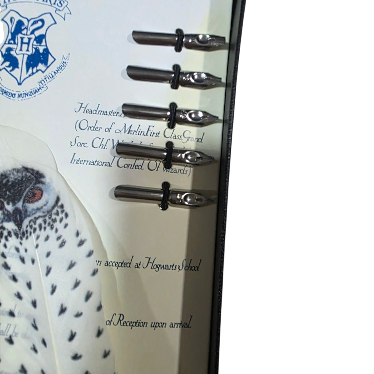 Pluma De Inmersión HP Harry