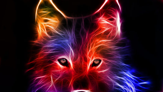 Lobo