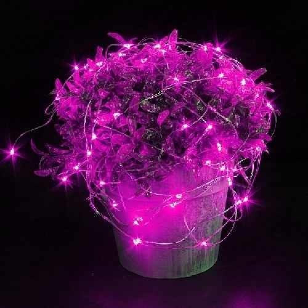 Luces Micro Led Hadas Pilas 2 Metros Colores Pilas Incluidas