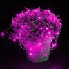 Luces Micro Led Hadas Pilas 2 Metros Colores Pilas Incluidas