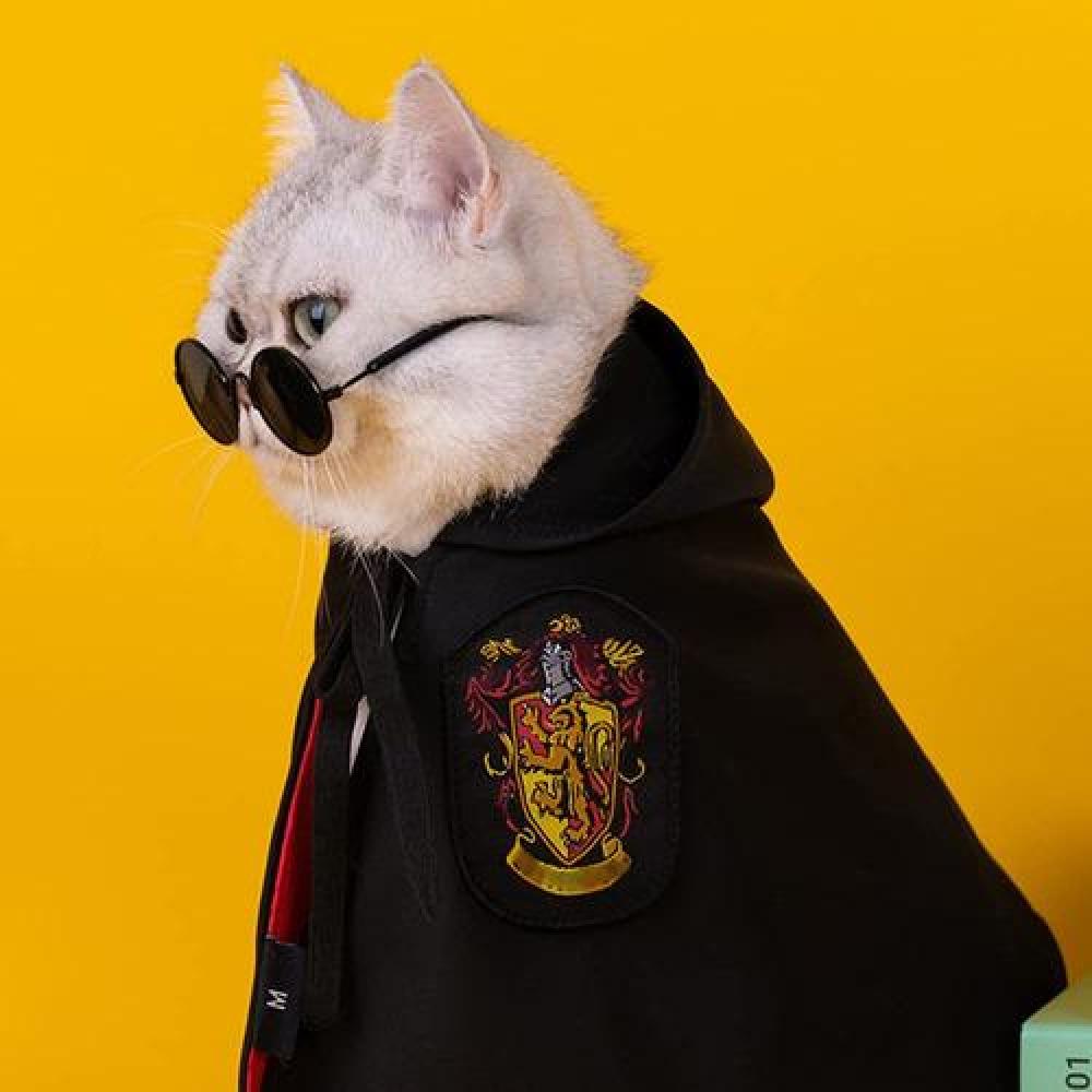 Capa cosplay para mascotas Harry Potter