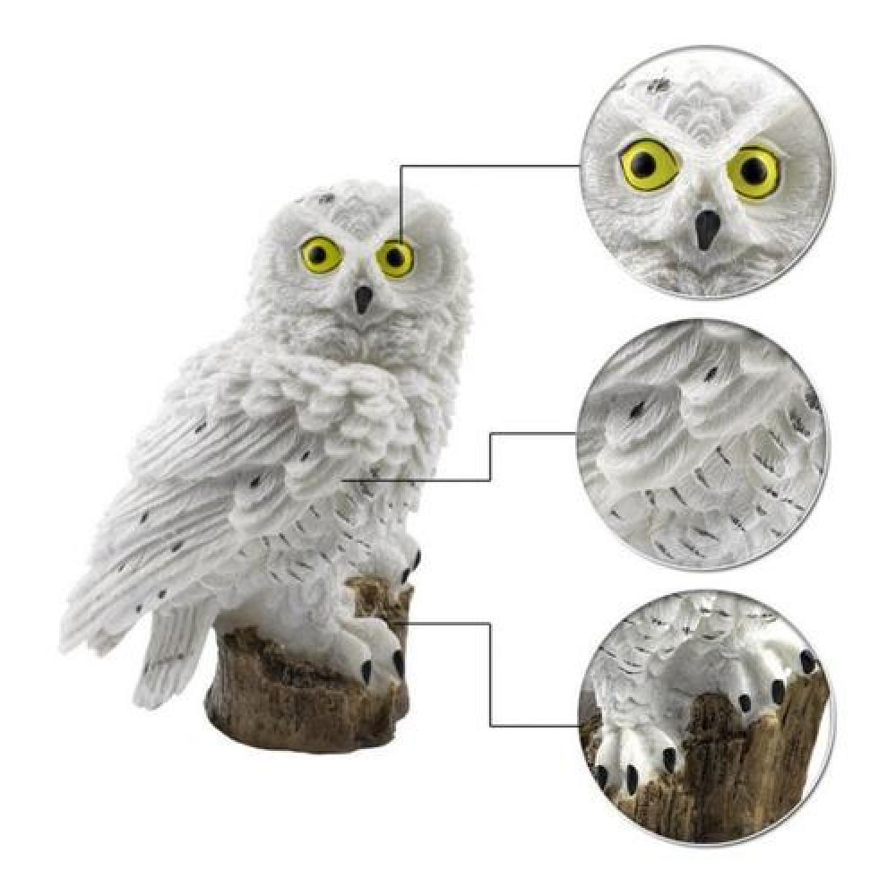 Luz solar buho Hedwig Harry