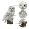 Luz solar buho Hedwig Harry