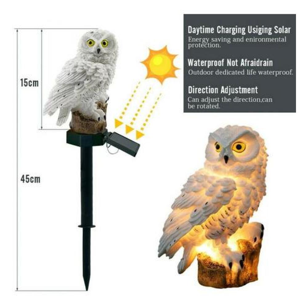 Luz solar buho Hedwig Harry