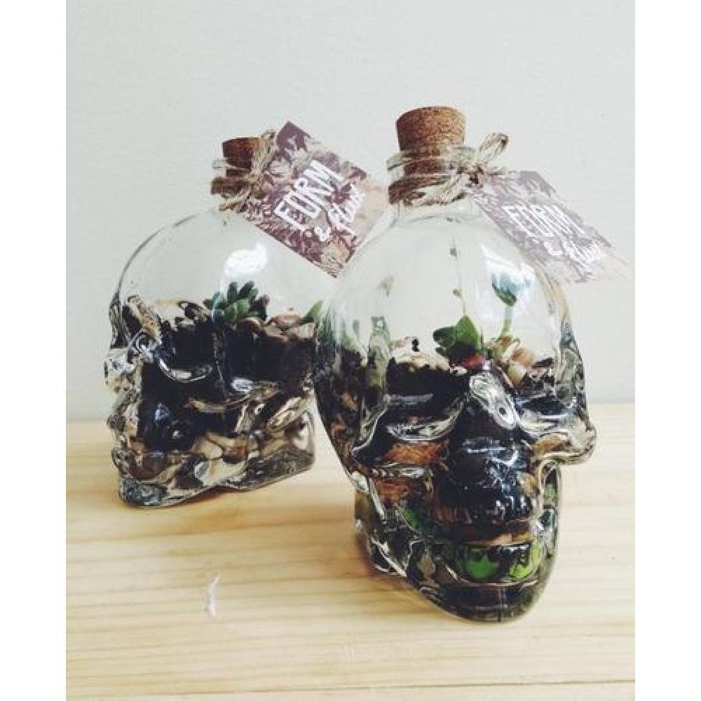 Botella Calavera Vidrio Craneo Vodka Whisky 750 Ml