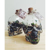 Botella Calavera Vidrio Craneo Vodka Whisky 750 Ml