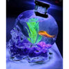 Botella Calavera Vidrio Craneo Vodka Whisky 750 Ml