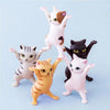set 5 Mini gatitos portalapices airpods
