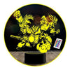 Ilusión 3D Dragon Ball Goku evolution Control remoto