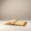 Libreta agenda  planner Delux Harry Potter Broche Snitch