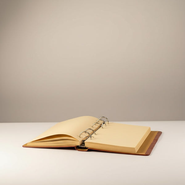 Libreta agenda  planner Delux Harry Potter Broche Snitch