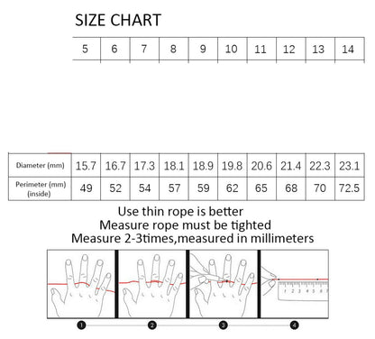 Anillo Único Sauron Señor de los Anillos The One Ring
