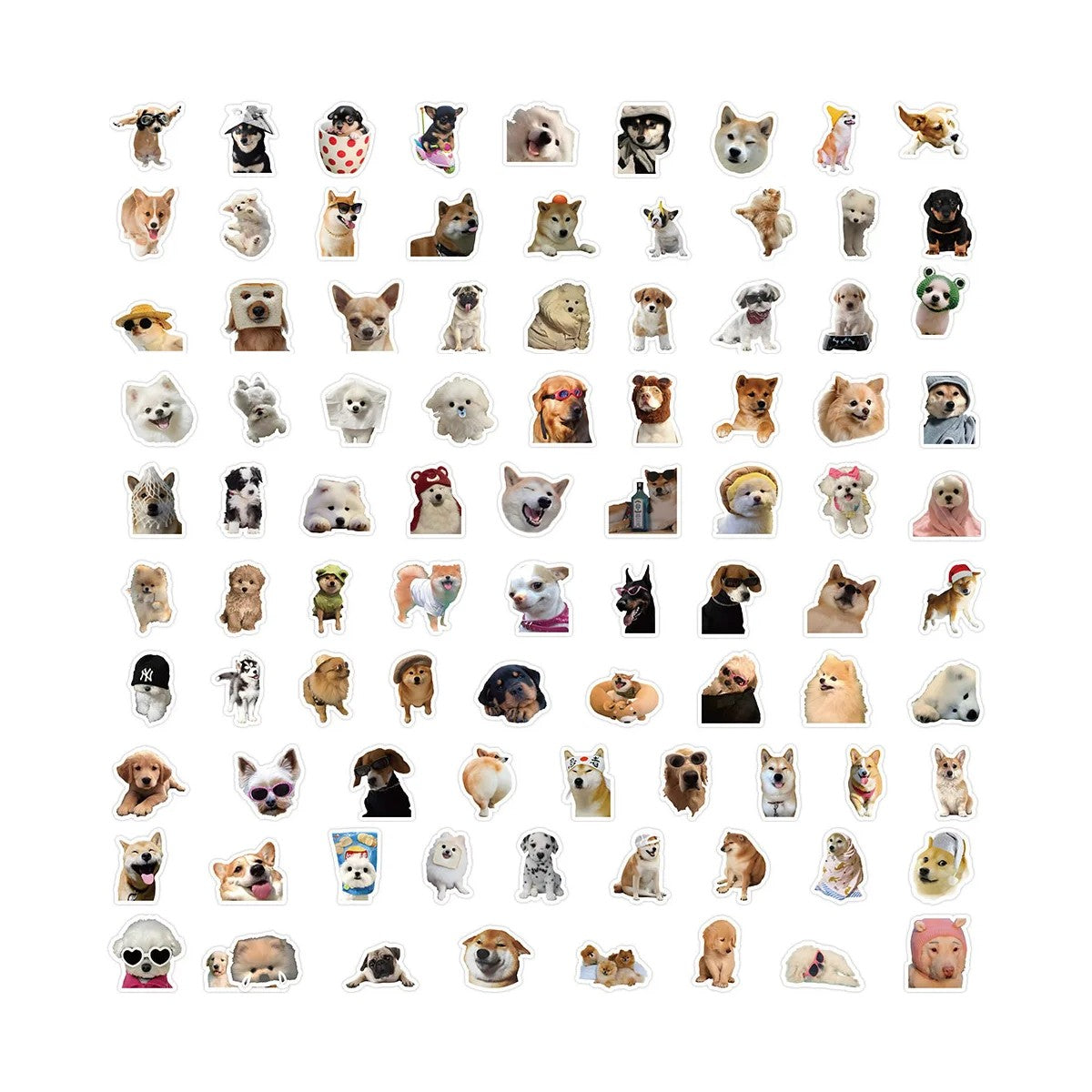 Pack Sticker pegatinas divertidos Perros Memes