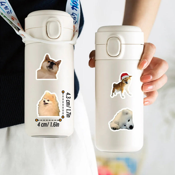 Pack Sticker pegatinas divertidos Perros Memes