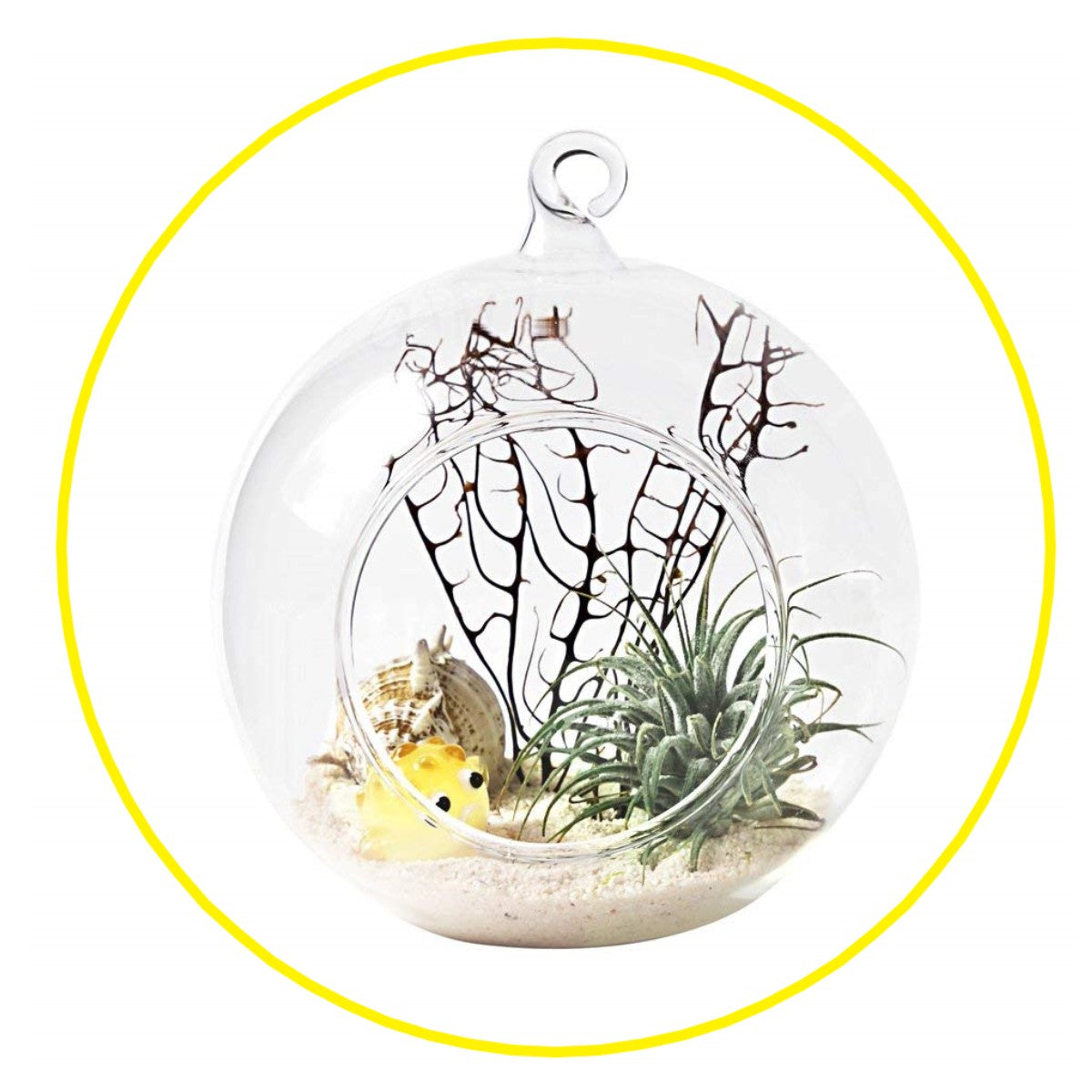 Porta Vela 8 Cm Vidriodeco Colgante Terrario Deco Matrimonio