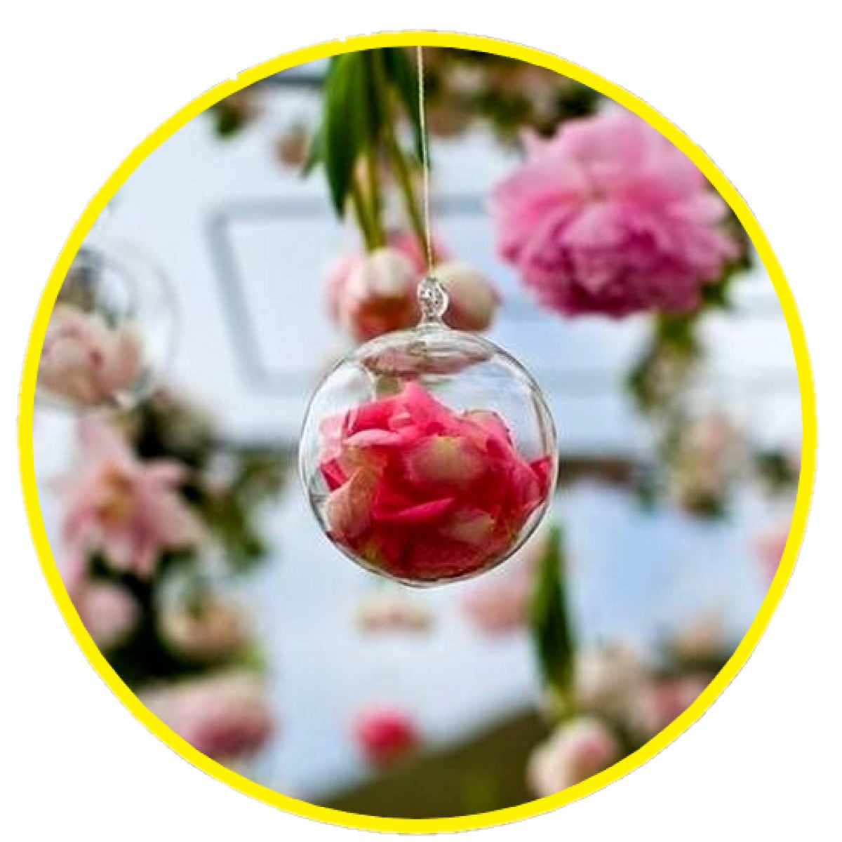 Porta Vela 8 Cm Vidriodeco Colgante Terrario Deco Matrimonio