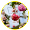 Porta Vela 8 Cm Vidriodeco Colgante Terrario Deco Matrimonio