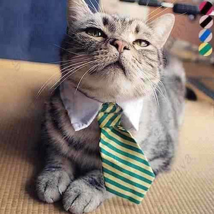 Collar Tipo Corbata Gatito Mascotas (estoykuku)