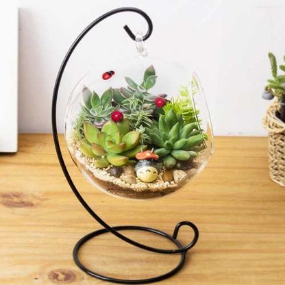 Portavela Globo Terrario Xl 15 Cm Vidrio C/pedestal Terrario