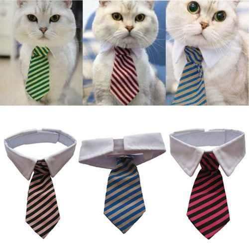 Collar Tipo Corbata Gatito Mascotas (estoykuku)