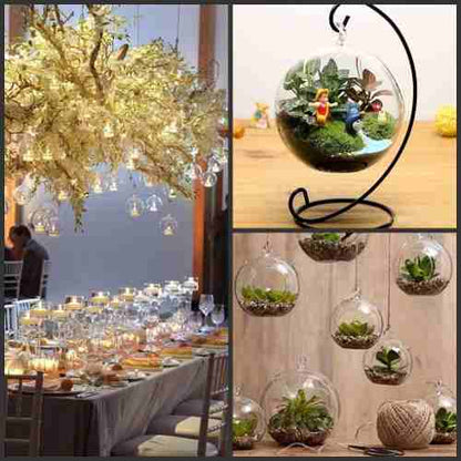 Portavela Globo Terrario Xl 15 Cm Vidrio C/pedestal Terrario