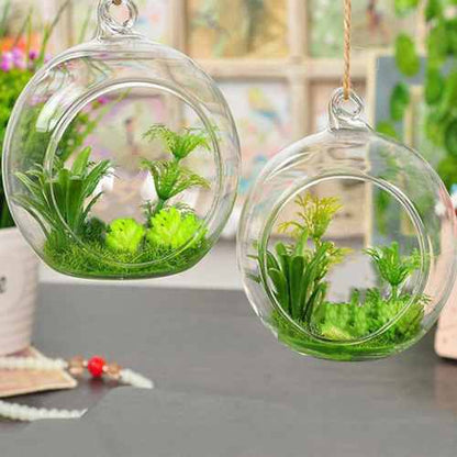 Portavela Globo Terrario Xl 15 Cm Vidrio C/pedestal Terrario