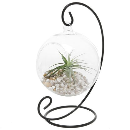 Portavela Globo Terrario Xl 15 Cm Vidrio C/pedestal Terrario