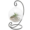 Portavela Globo Terrario Xl 15 Cm Vidrio C/pedestal Terrario